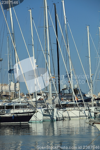 Image of Masts and rigging of yachts moored in harbour