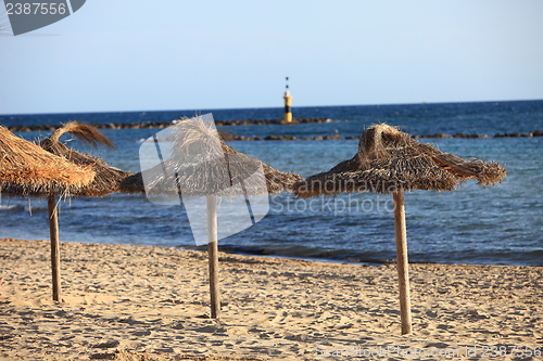 Image of Thatched umbrellas on a tropical beach