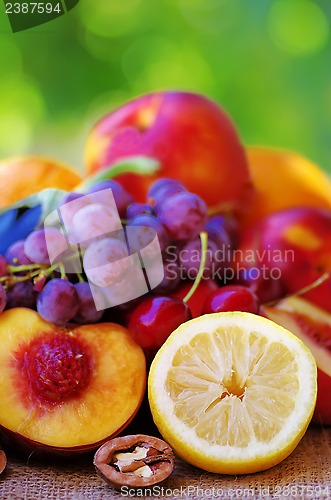 Image of Slices of lemon and peach, fruits in background