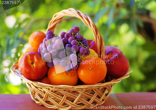 Image of Citrus fuits and grapes