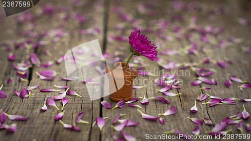 Image of Flower Pot