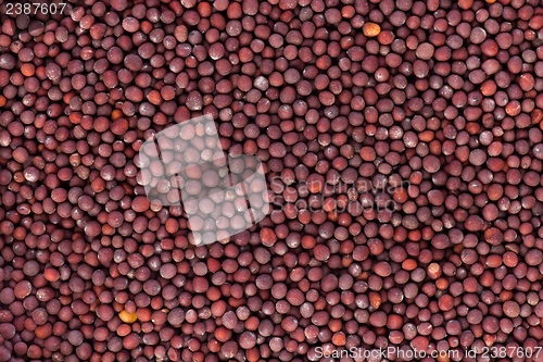 Image of Mustard seeds