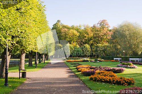 Image of alley in the Park the morning sunshine 