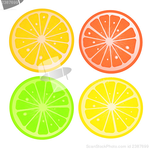 Image of Citric slices