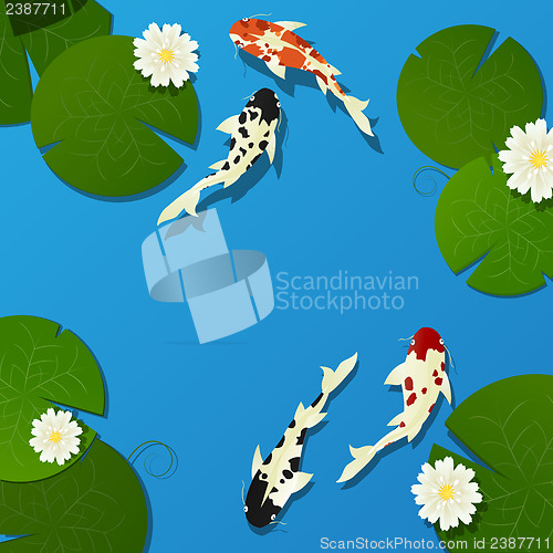 Image of Koi fish and lotus