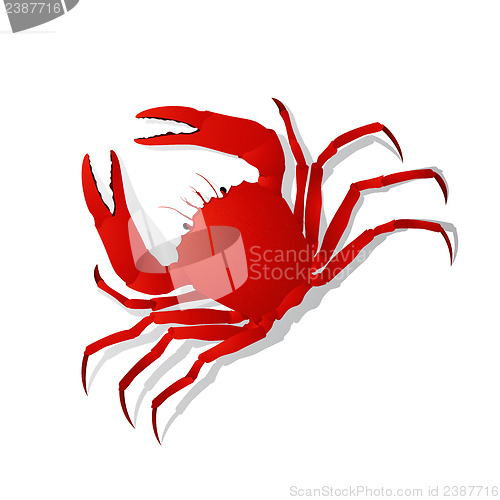 Image of Red crab
