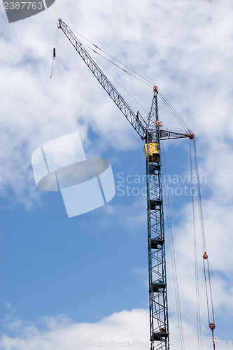 Image of Crane