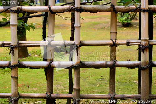 Image of Bamboo Fence