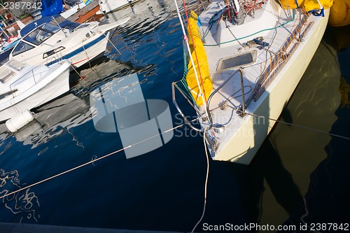 Image of Yachts in marina