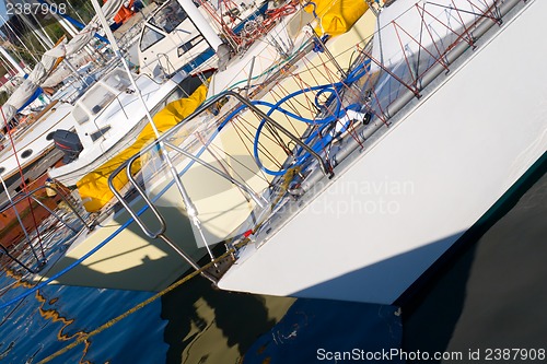 Image of Yachts in marina