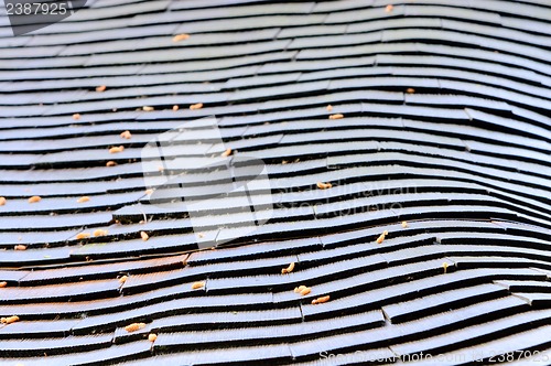 Image of Roof-top pattern