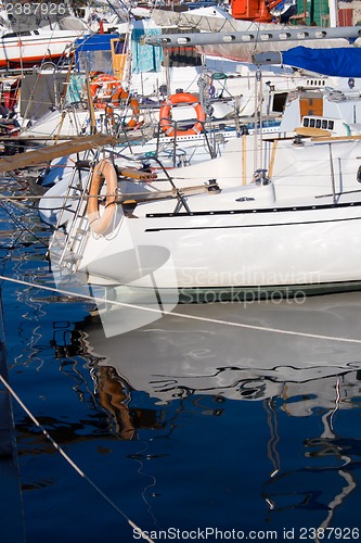 Image of Yachts in marina