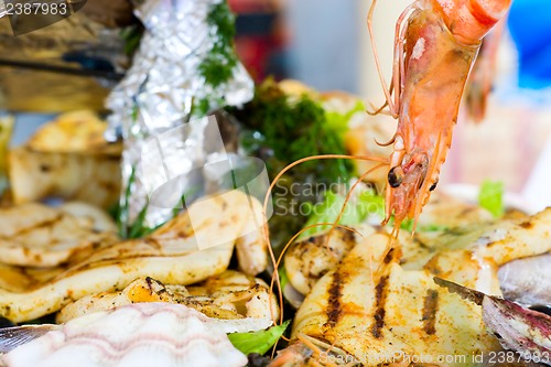 Image of shrimp