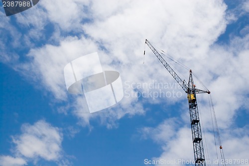 Image of Crane