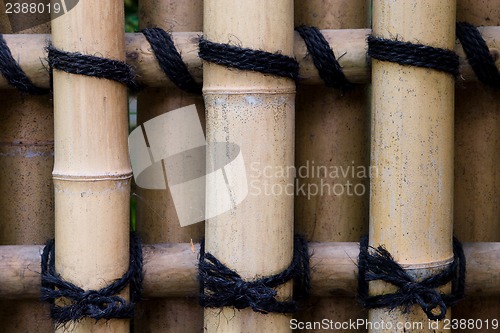 Image of Bamboo Fence