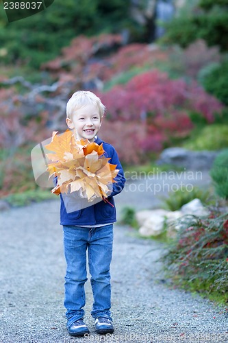 Image of autumn time