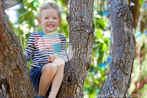 Image of boy at the tree