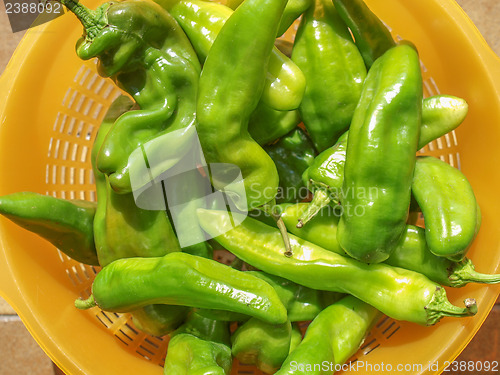 Image of Green peppers