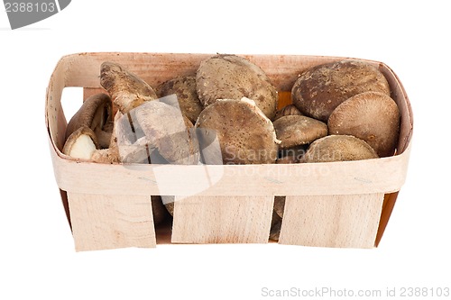 Image of Wooden basket with shiitake mushrooms