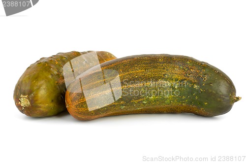 Image of Two overripe cucumbers