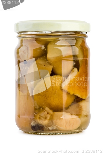 Image of Glass jar with pickled cepe mushrooms