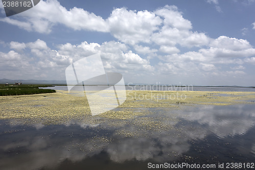 Image of  flower lake in Sichuan, China