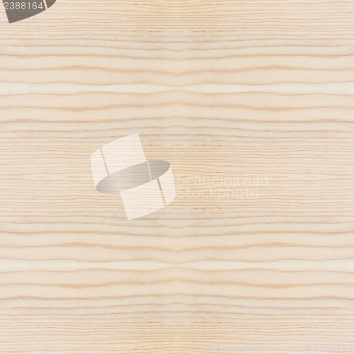 Image of Wood Texture