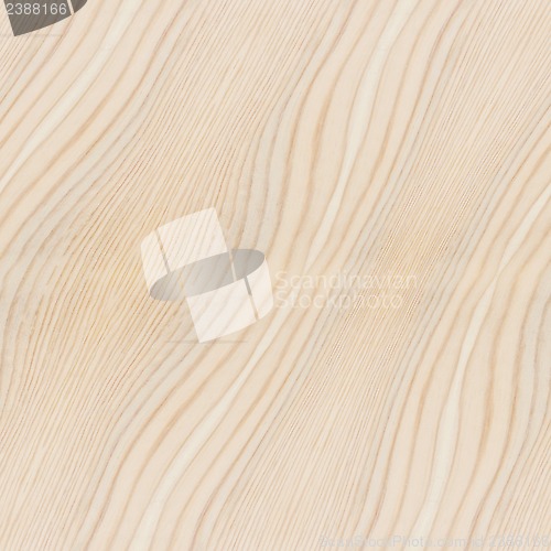 Image of Wood Texture