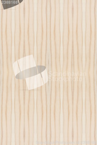 Image of Wood Texture