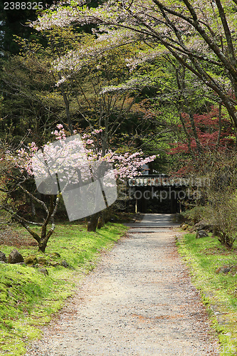 Image of Park in Japan