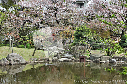 Image of Tokyo park