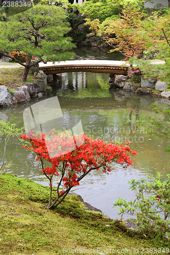 Image of Nara, Japan