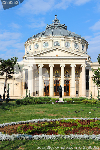 Image of Bucharest