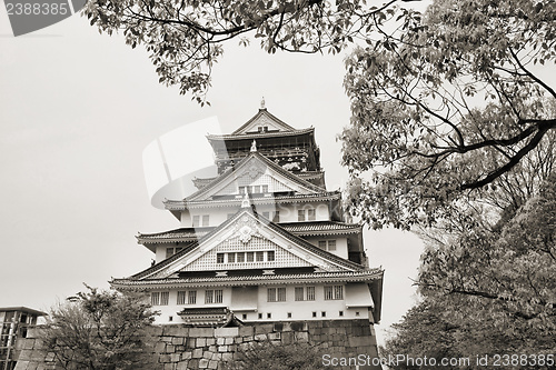 Image of Osaka castle