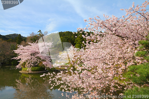 Image of Kyoto, Japan