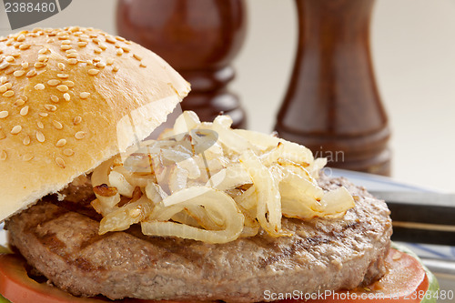 Image of Hamburger And Onions