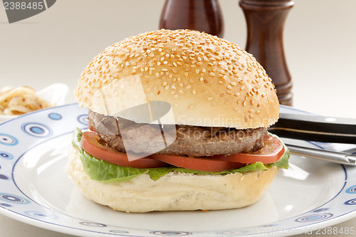 Image of Sesame Roll Hamburger