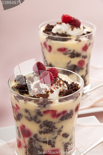 Image of Raspberry Trifle