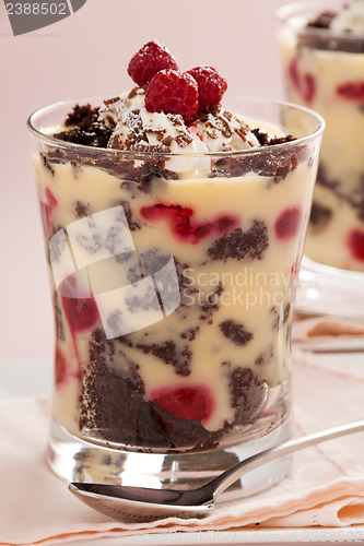 Image of Raspberry Chocolate Trifle