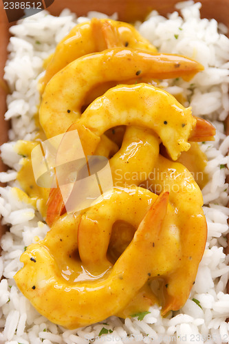 Image of Curried Shrimps