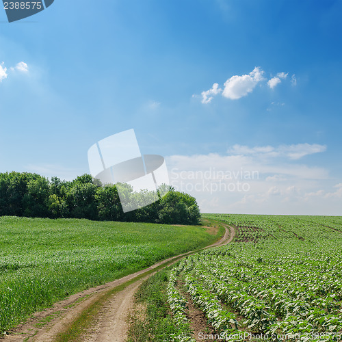 Image of rural road in green fields and cloudy sky