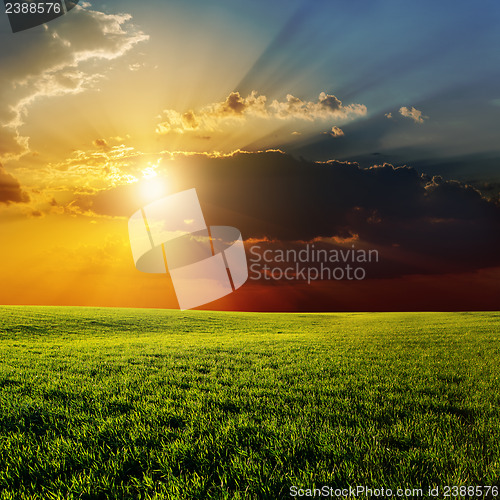 Image of dramatic sunset over agricultural green field