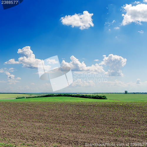 Image of black ploughed field under deep blue sky