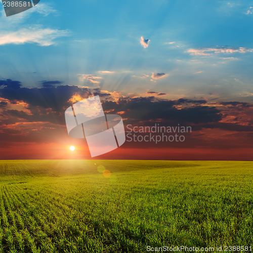Image of sunset over agricultural green field