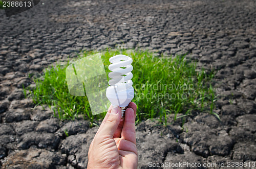 Image of energy saving lamp in hand over green grass and cracked earth