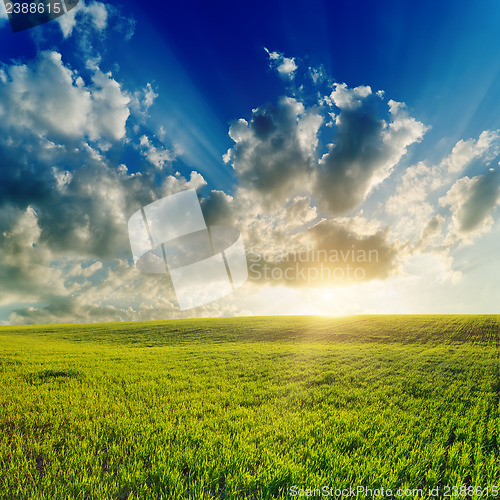 Image of good sunset over green field