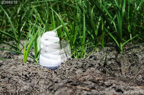 Image of light bulb between drought land and green grass