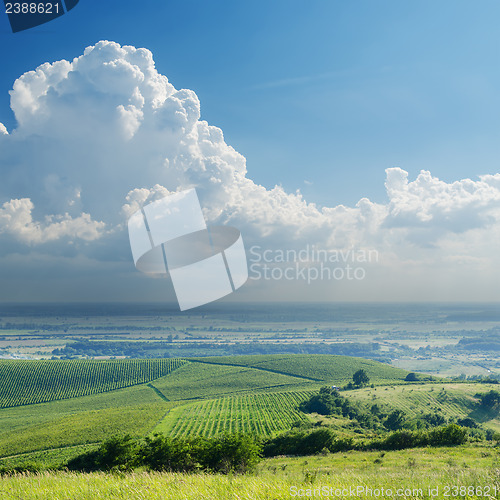 Image of rainy clouds over vineyard