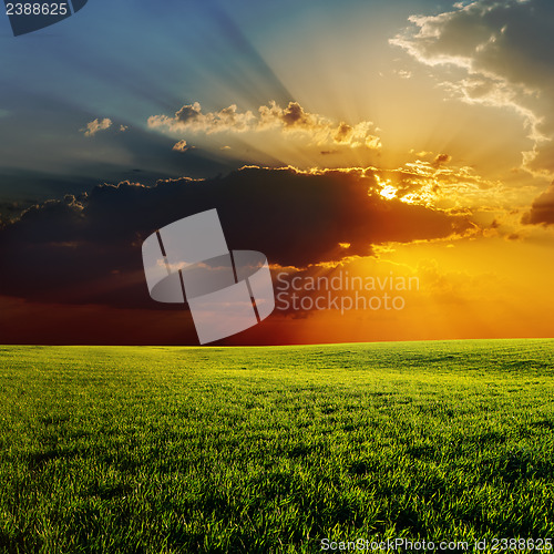 Image of sunset over agricultural green field