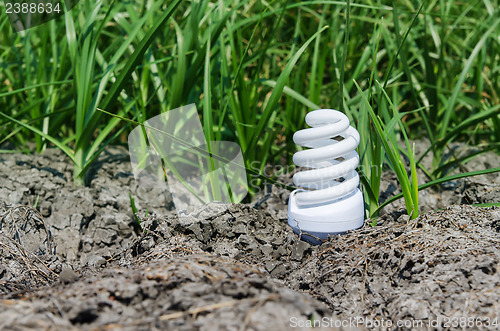 Image of concept light bulb between drought land and green grass